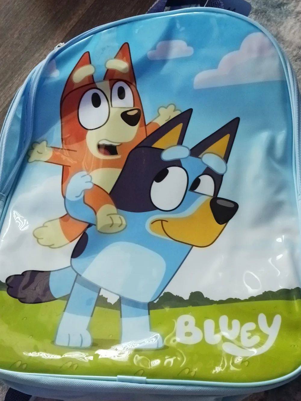 Bluey new